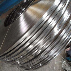 Stainless Steel Strip